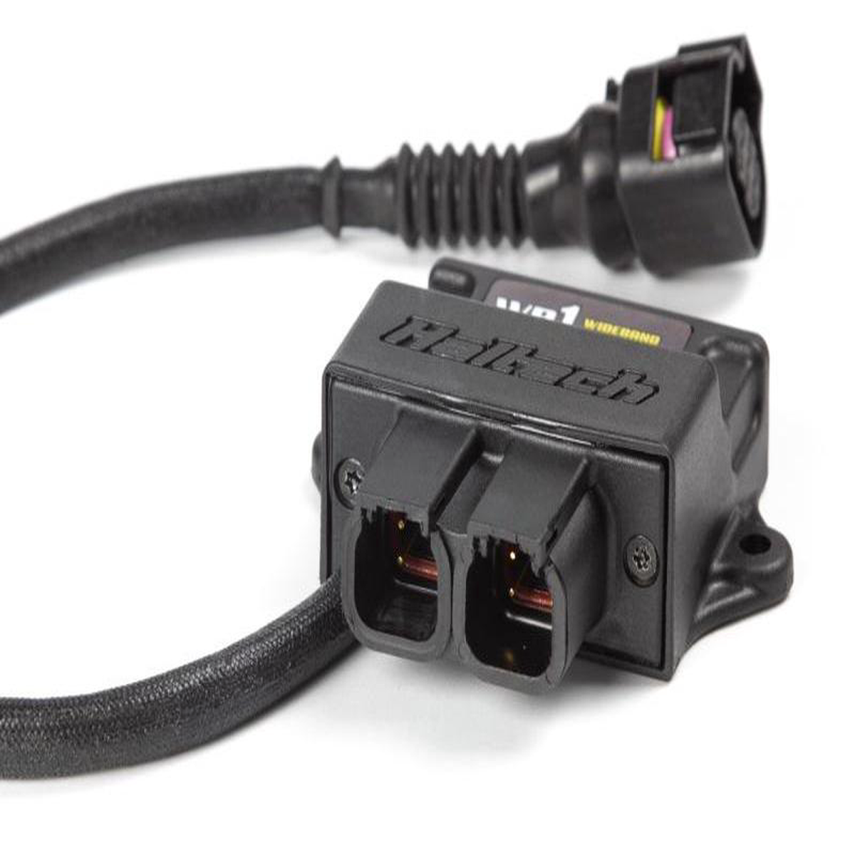 Haltech CAN O2 Wideband Controller Kit (HT-159976)