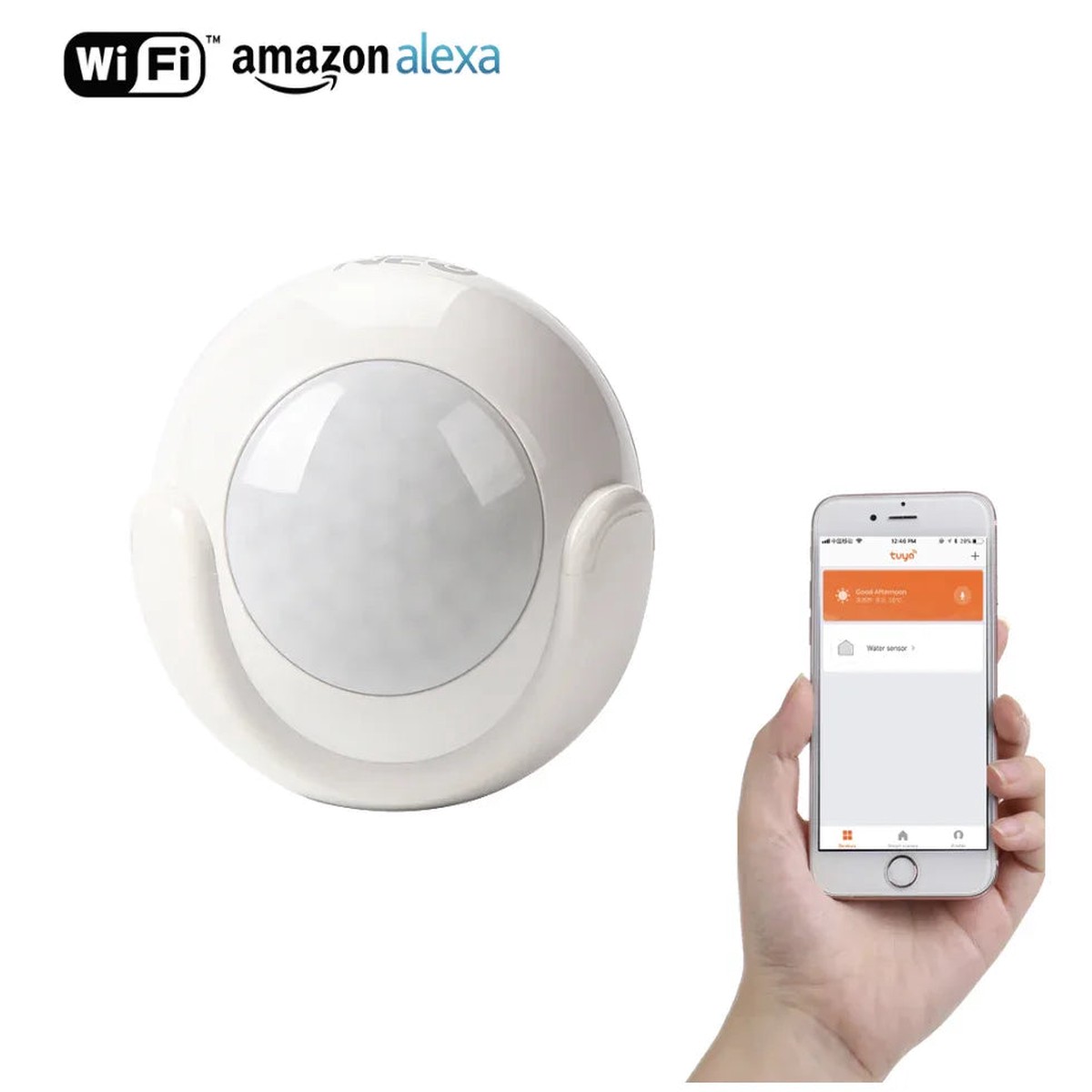 WiFi Smart PIR Motion Sensor
