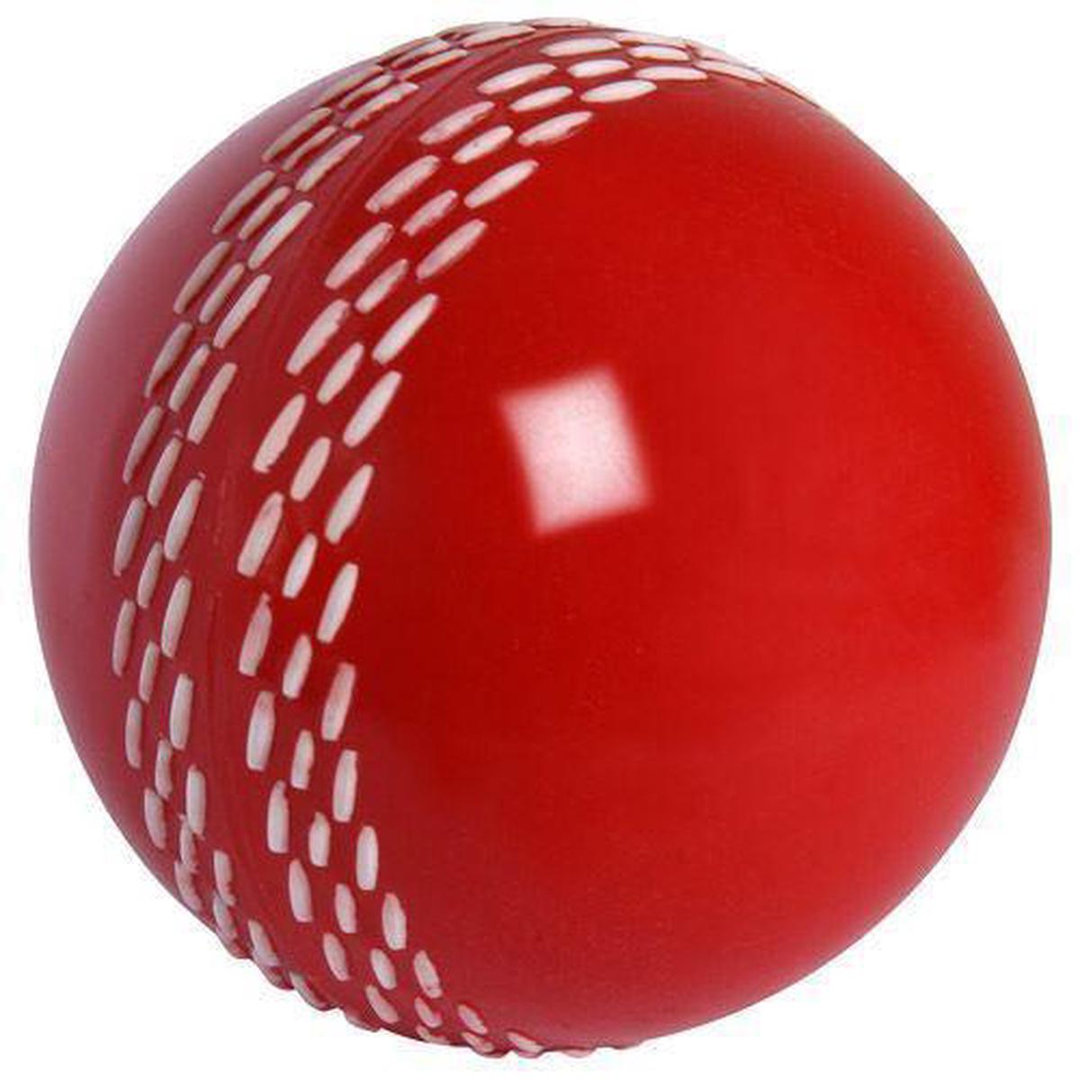Velocity Red Cricket Ball