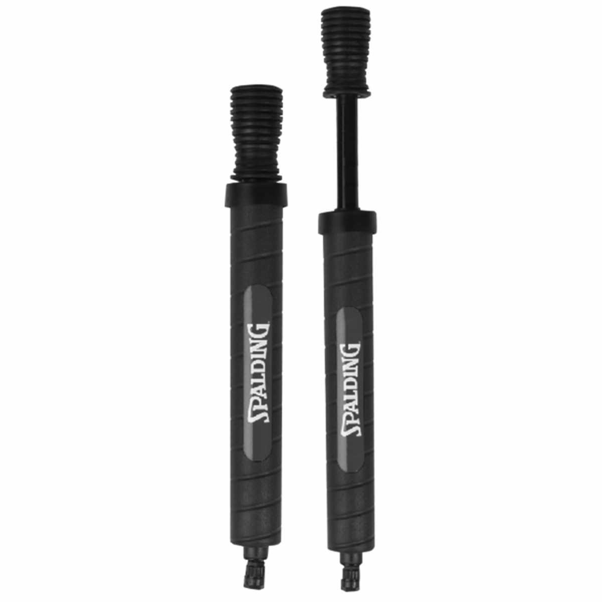Dual Action Ball Pump